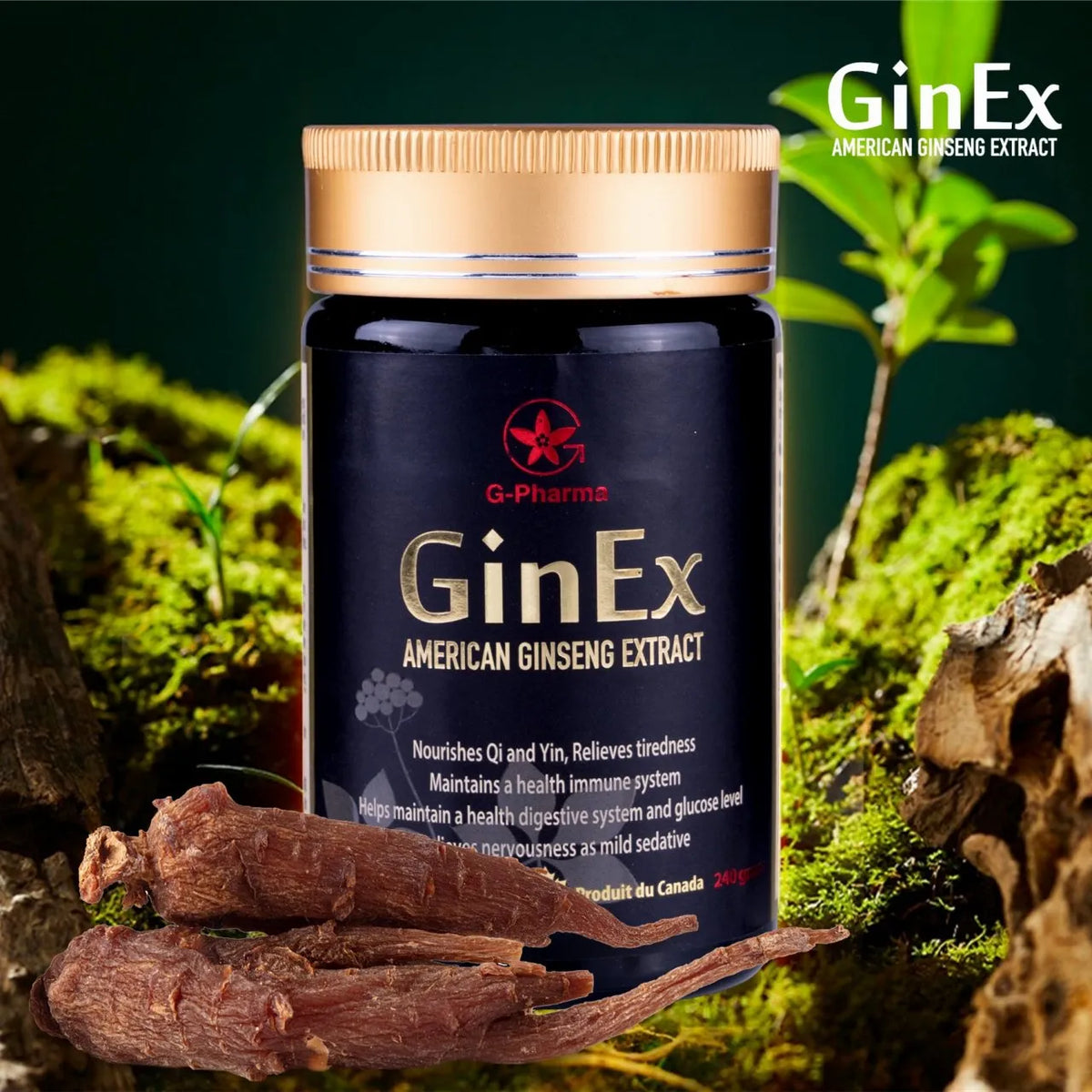GinEx® 西洋蔘黑膏滋 (純膏劑-240g)